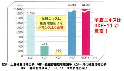 注目成分「羊膜エキス」