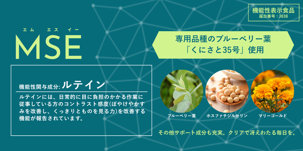 MSE